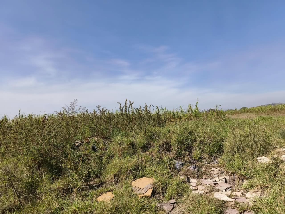 terreno en venta en  san bartolo zumpango