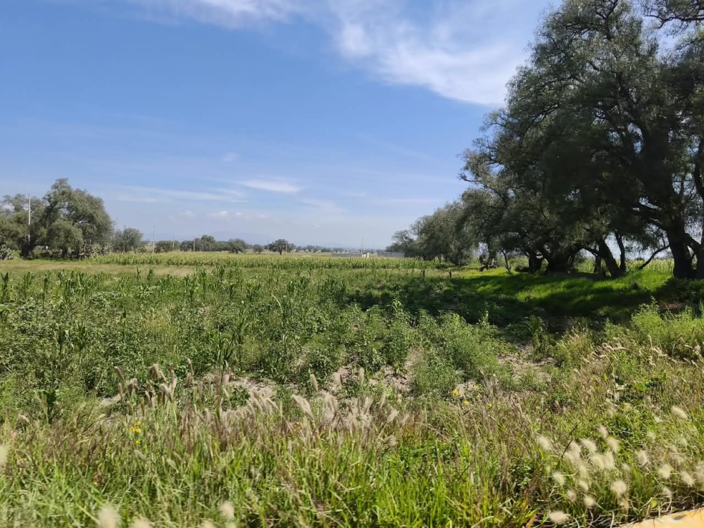 terreno en venta en  san bartolo zumpango