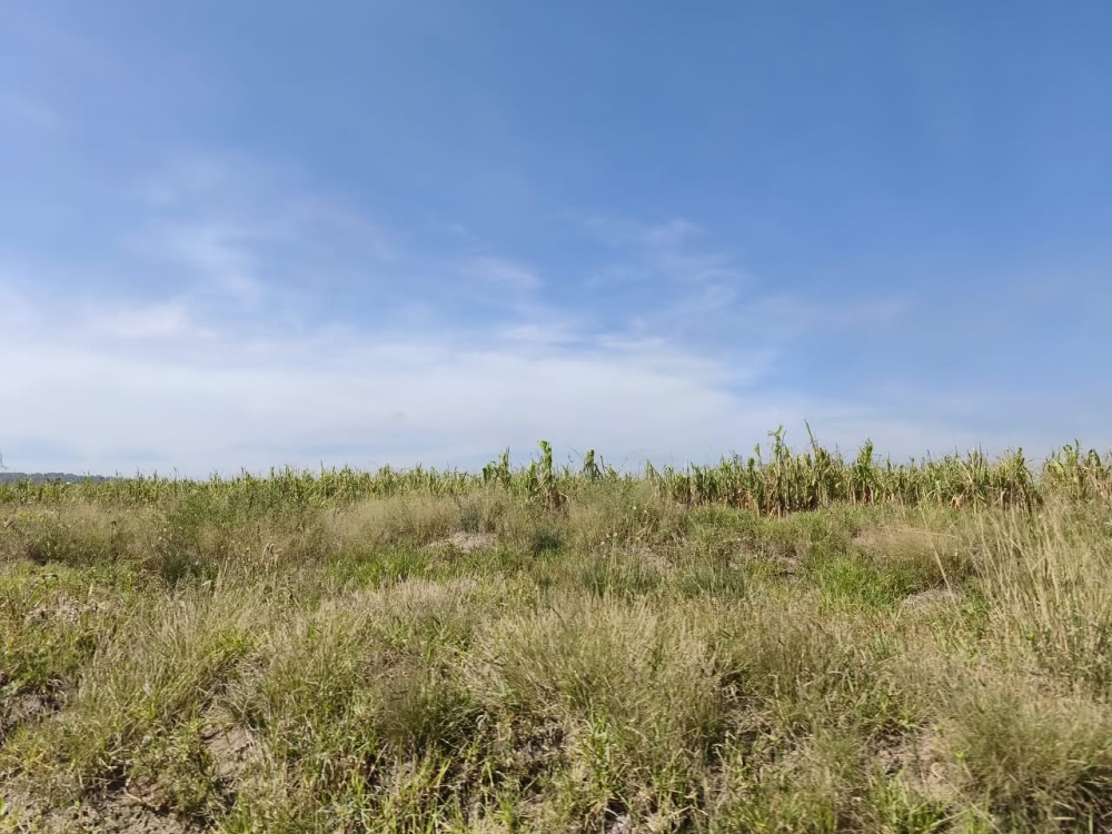 terreno en venta en  san bartolo zumpango