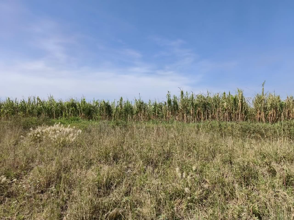 terreno en venta en  san bartolo zumpango