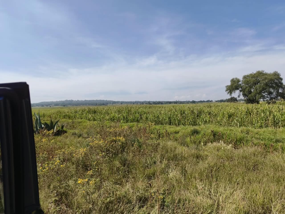 terreno en venta en  san bartolo zumpango