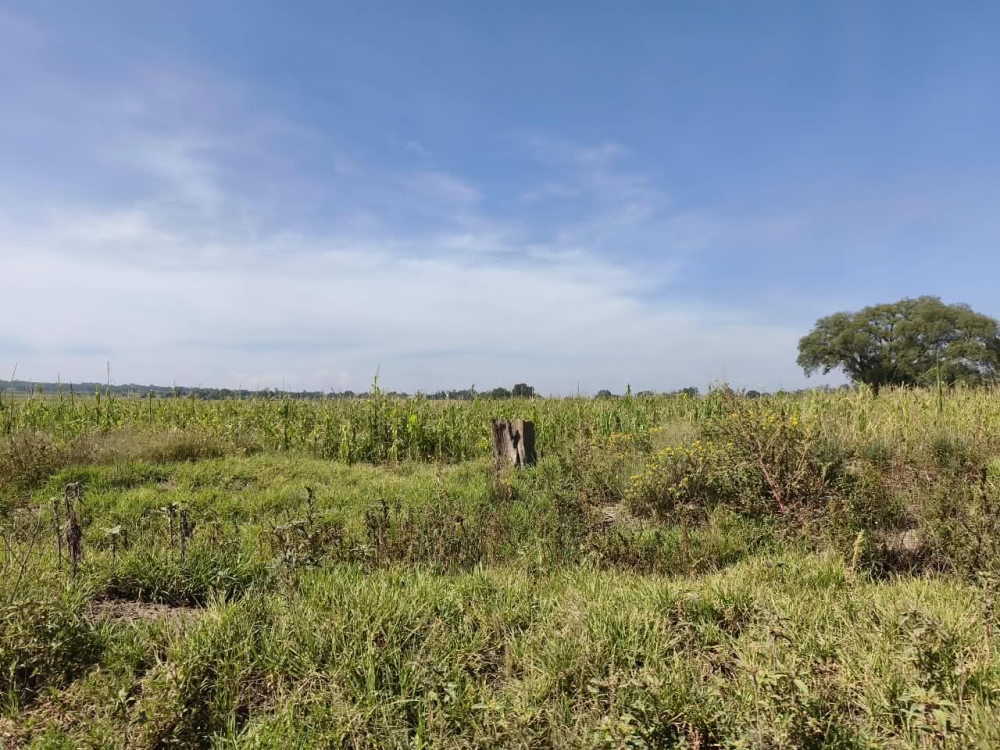 terreno en venta en  san bartolo zumpango