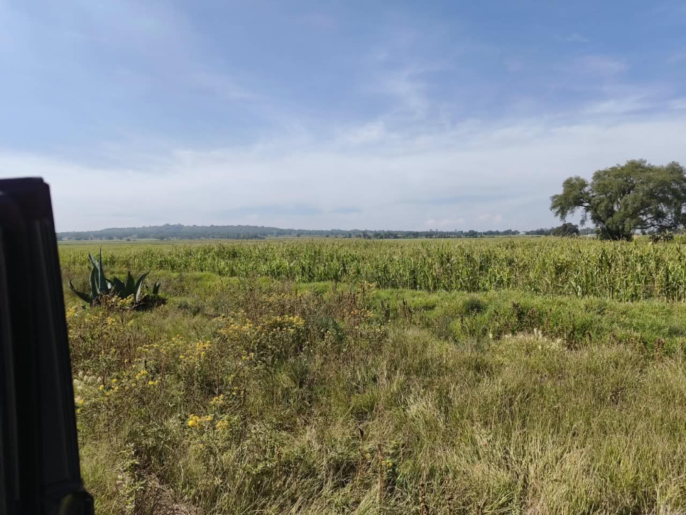 terreno en venta en  san bartolo zumpango
