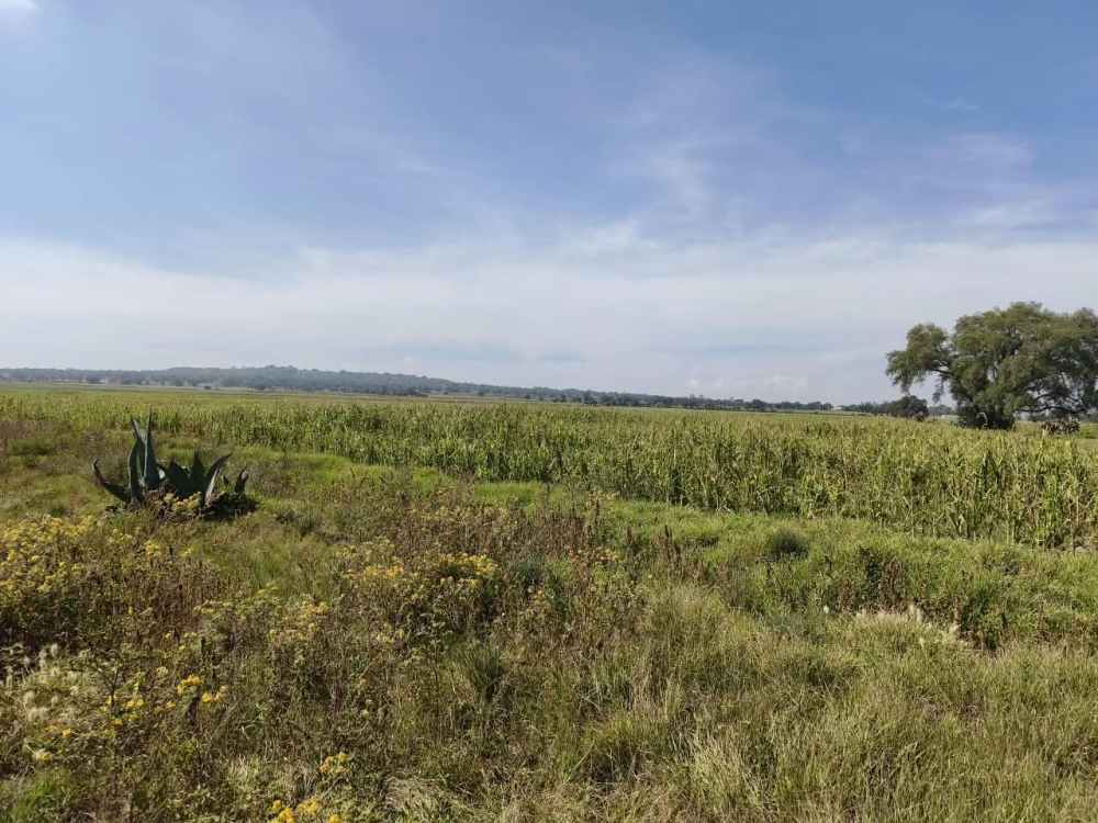 terreno en venta en  san bartolo zumpango