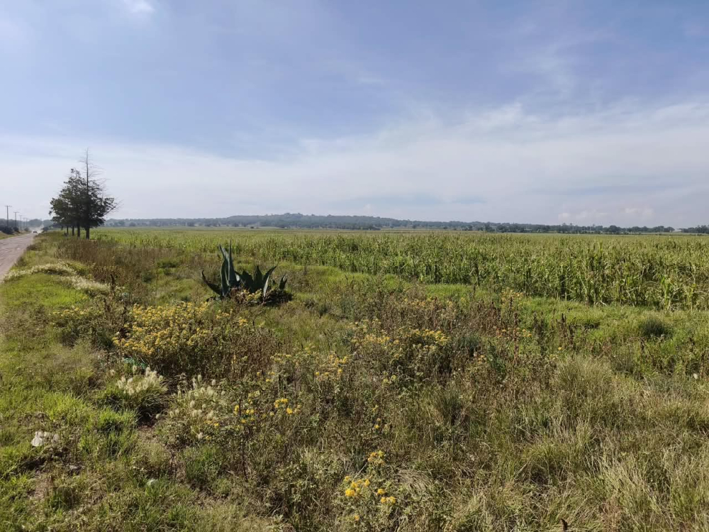 terreno en venta en  san bartolo zumpango