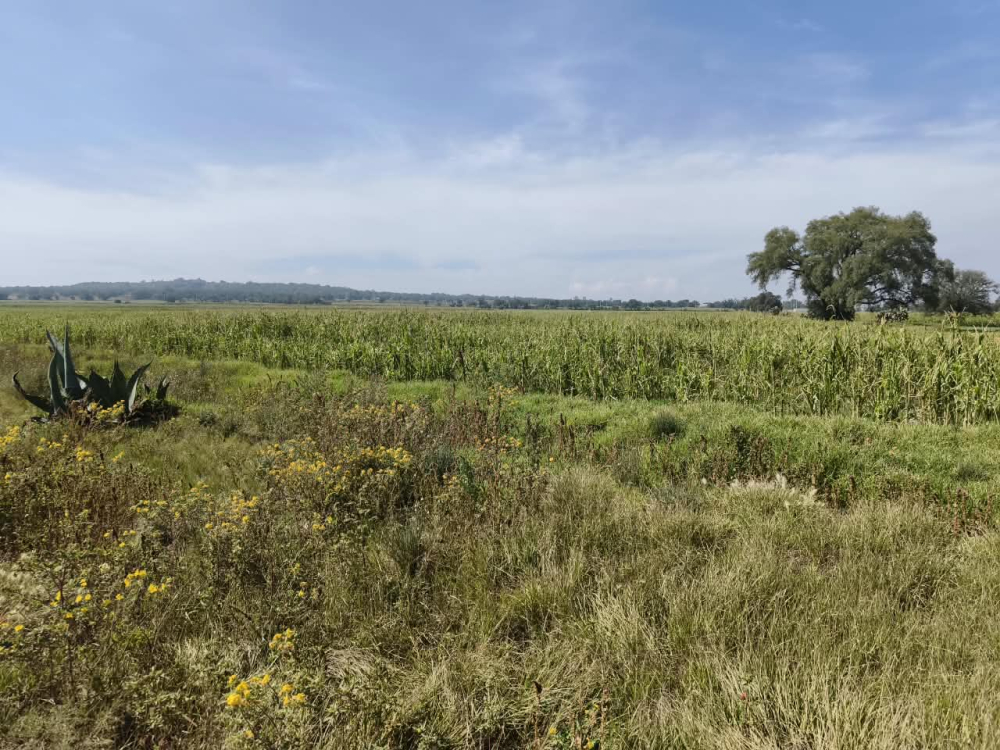 terreno en venta en  san bartolo zumpango