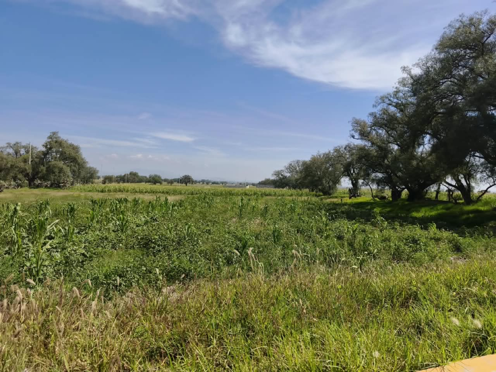 terreno en venta en  san bartolo zumpango