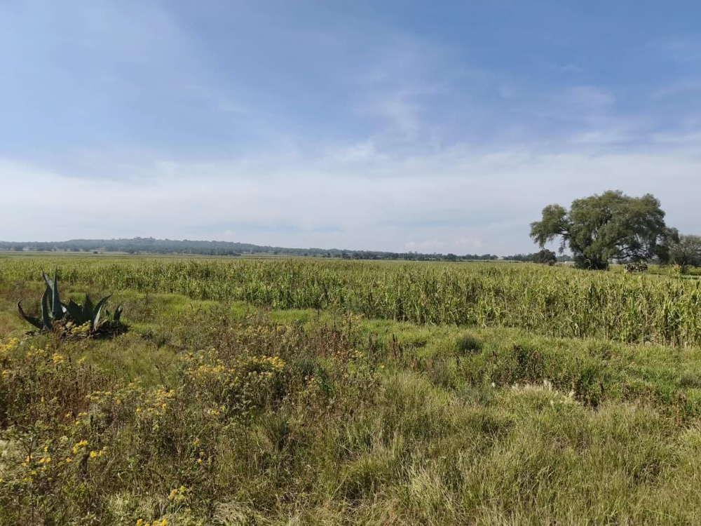terreno en venta en  san bartolo zumpango