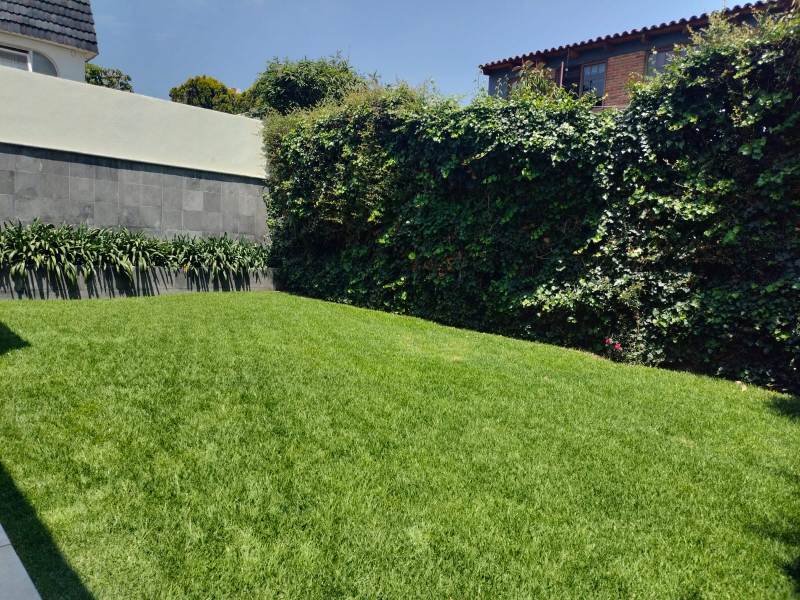 casa en venta totalmente remodelada con amplio jardín en lomas de bellavista