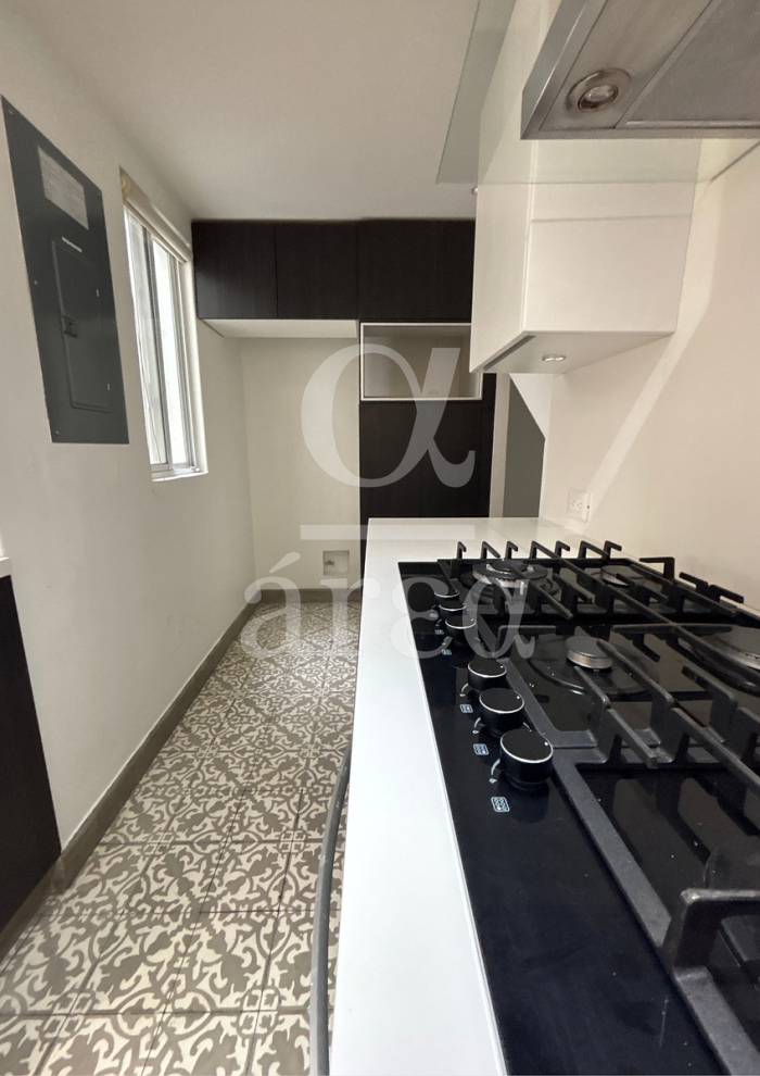 departamento en renta con 2 terrazas - polanco