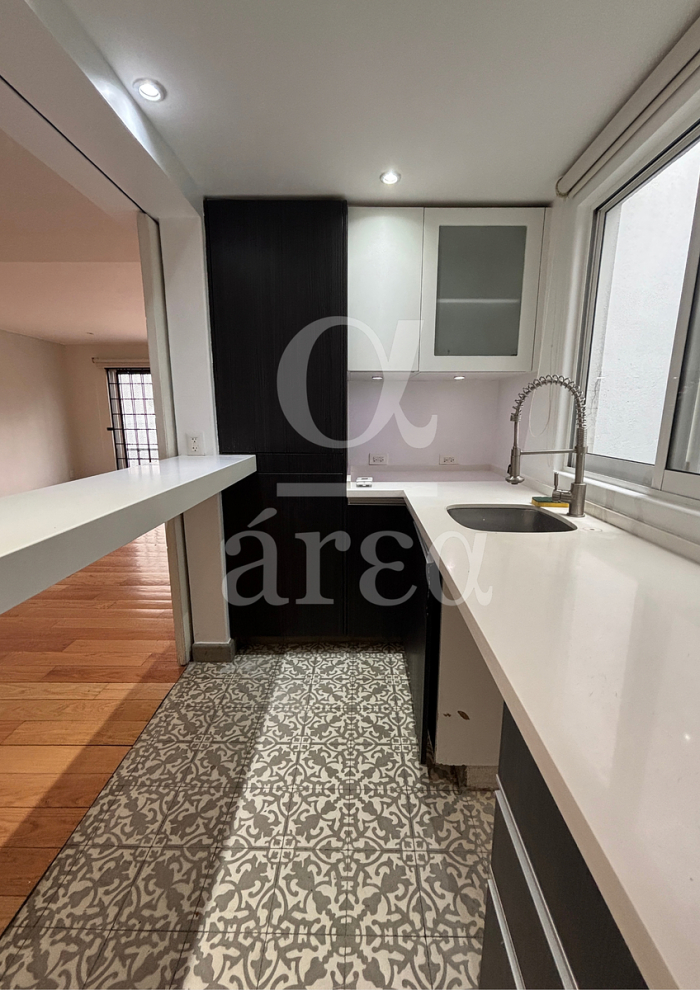 departamento en renta con 2 terrazas - polanco