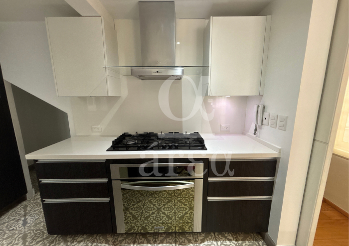 departamento en renta con 2 terrazas - polanco