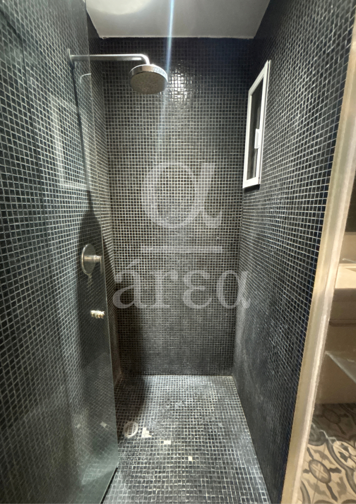 departamento en renta con 2 terrazas - polanco