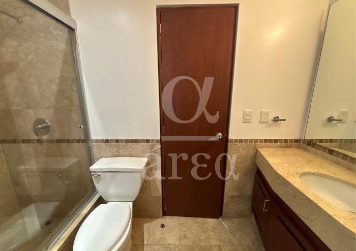 departamento en renta con 2 terrazas - polanco