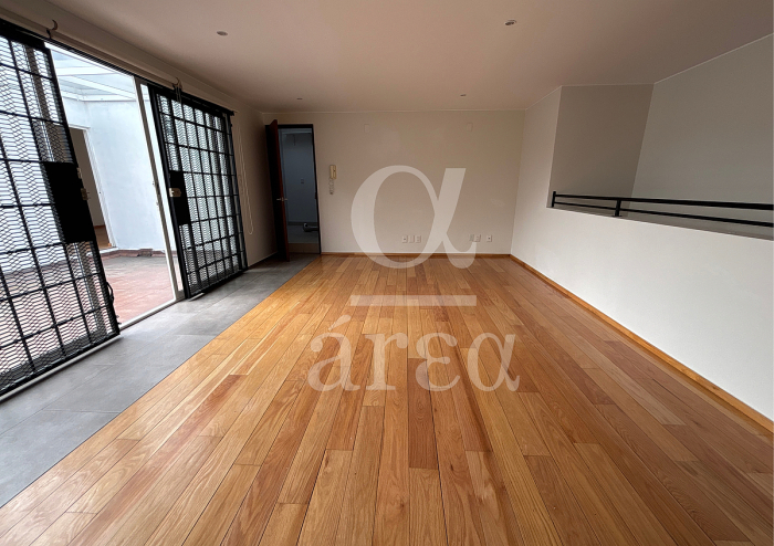 departamento en renta con 2 terrazas - polanco