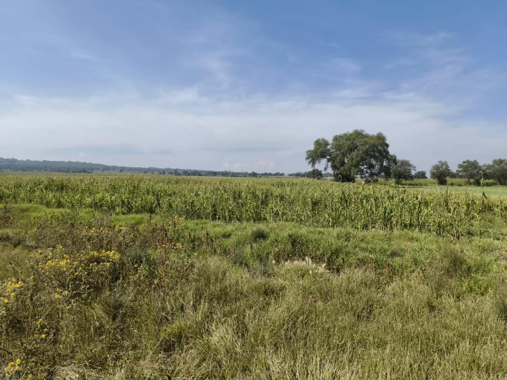 Terreno en Venta en Villas de Zumpango [Conjunto Urbano]