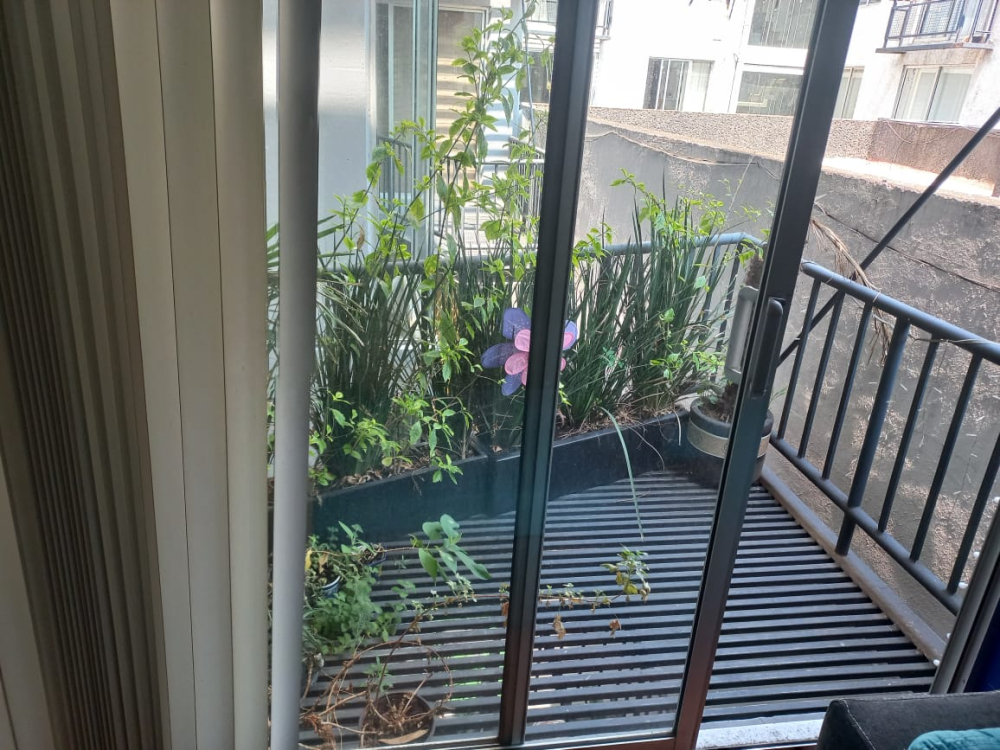 departamento en renta sta. maria nonoalco con terraza-ingres