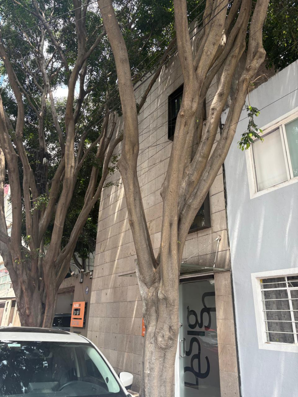 Oficina En Renta En Molino Del Rey