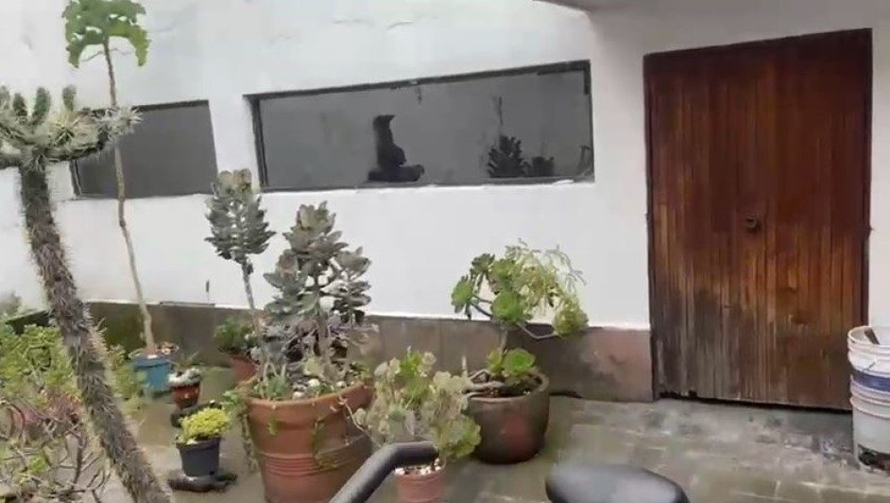 Casa En Venta En Bosque De Las Lomas