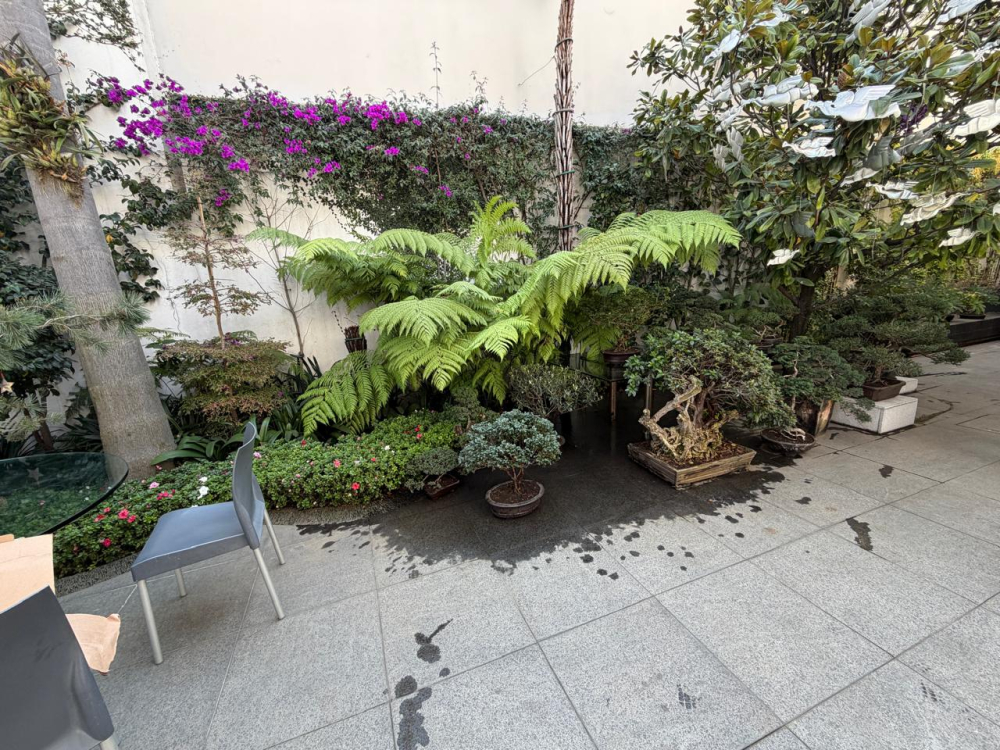 casa en venta en bosque de las lomas