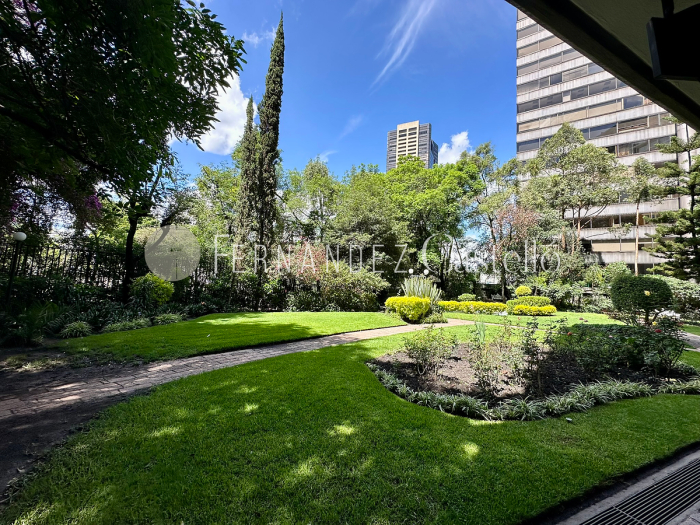 venta departamento en lomas de chapultepec