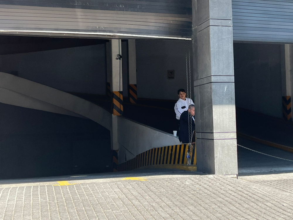 oficina en renta s jose insurgentes ibarraran