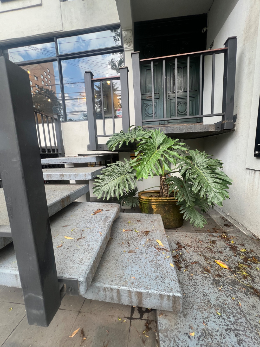 local comercial en renta en polanco
