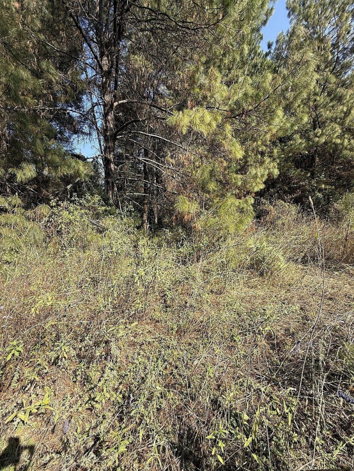 terreno en san simón el alto