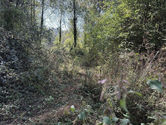 terreno en san simón el alto