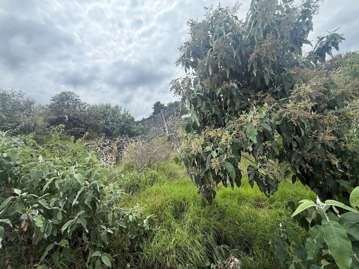 Terreno En VENTA San Miguel  Xicalco TLALPAN