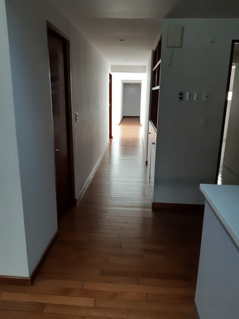 DEPARTAMENTO EN RENTA EN TRES PICOS POLANCO