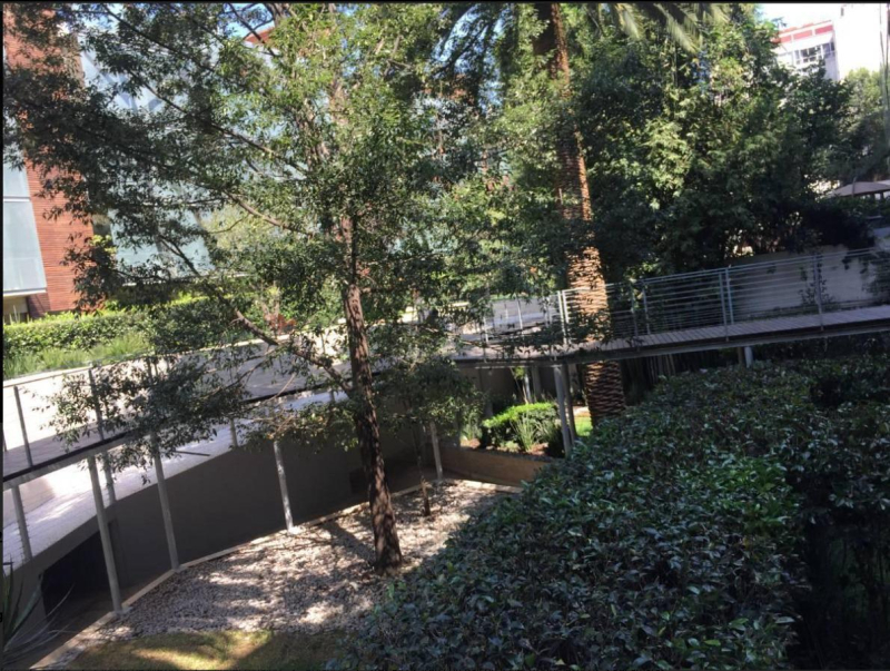 DEPARTAMENTO EN RENTA EN TRES PICOS POLANCO