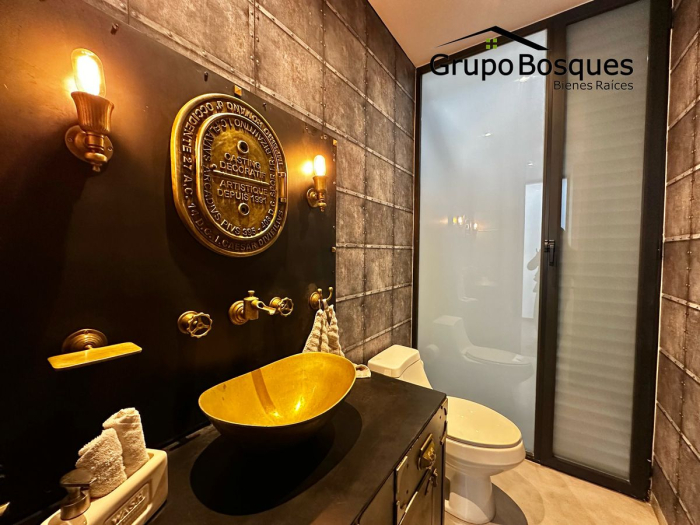 ph en venta en alfredo musset polanco iii sección