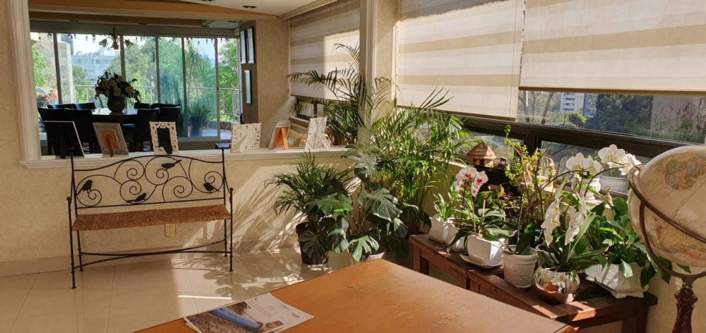 Departamento En Venta En Lomas De Chapultepec