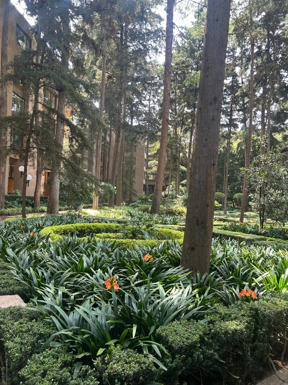 departamento en renta en parque del pedregal