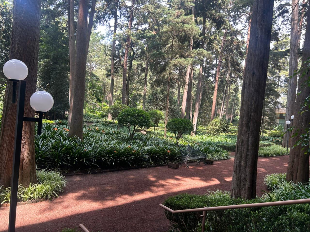departamento en renta en parque del pedregal