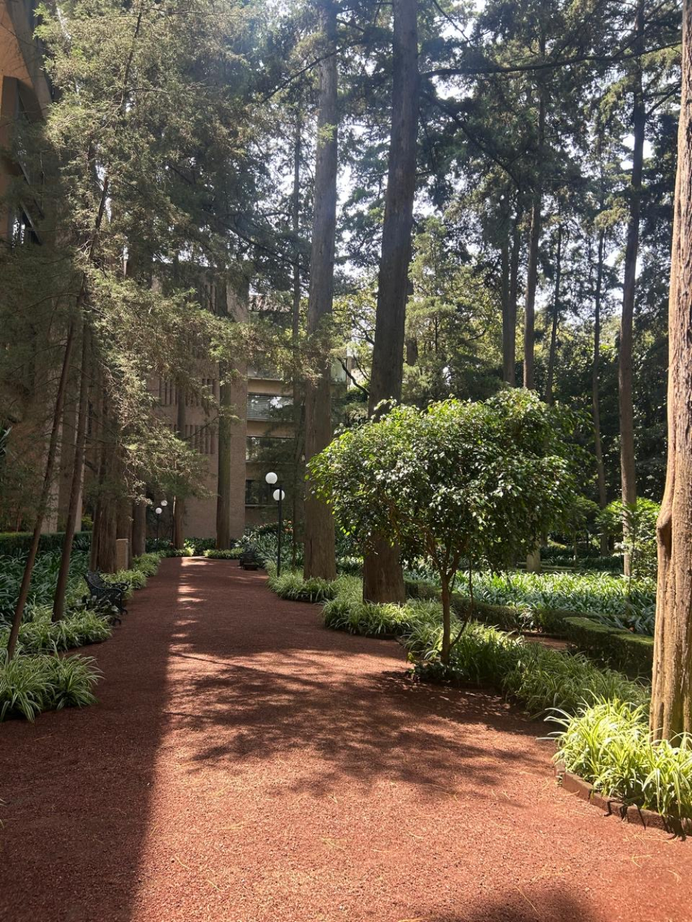 departamento en renta en parque del pedregal