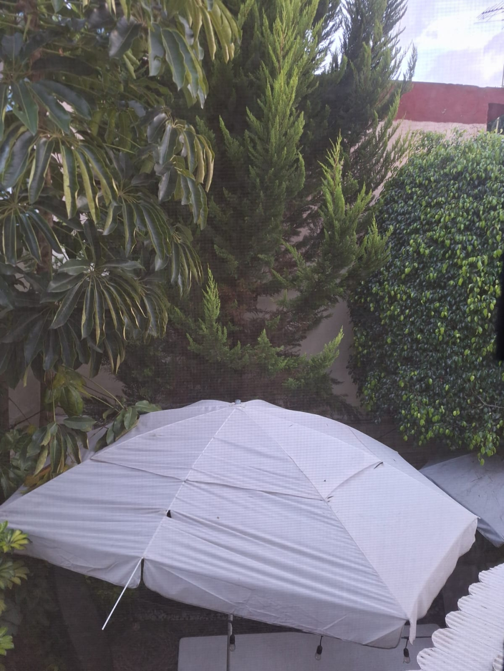 Casa En Venta En Las Alamedas