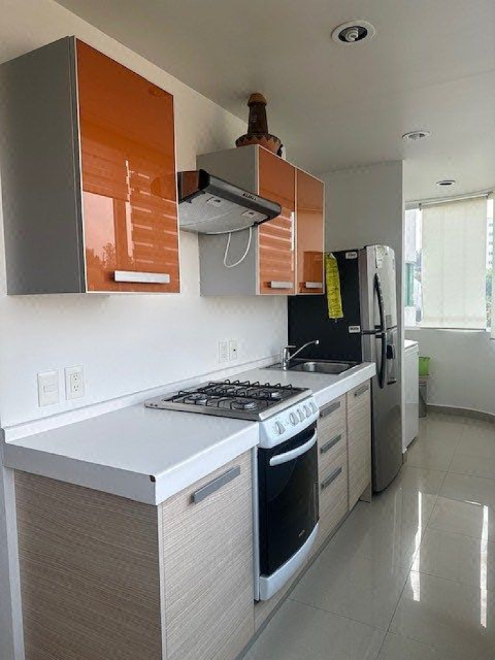 departamento  en santa fe en renta amueblado
