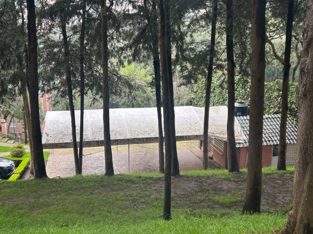 departamento en renta en olivar de los padres