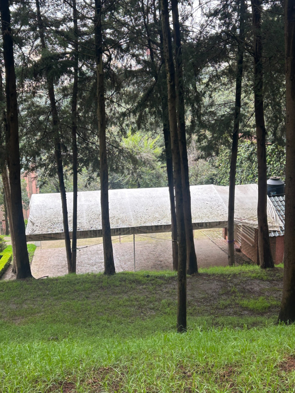 departamento en renta en olivar de los padres