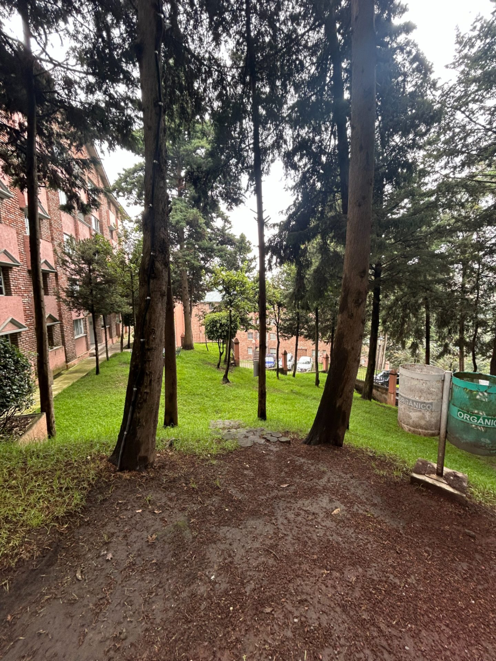 departamento en renta en olivar de los padres