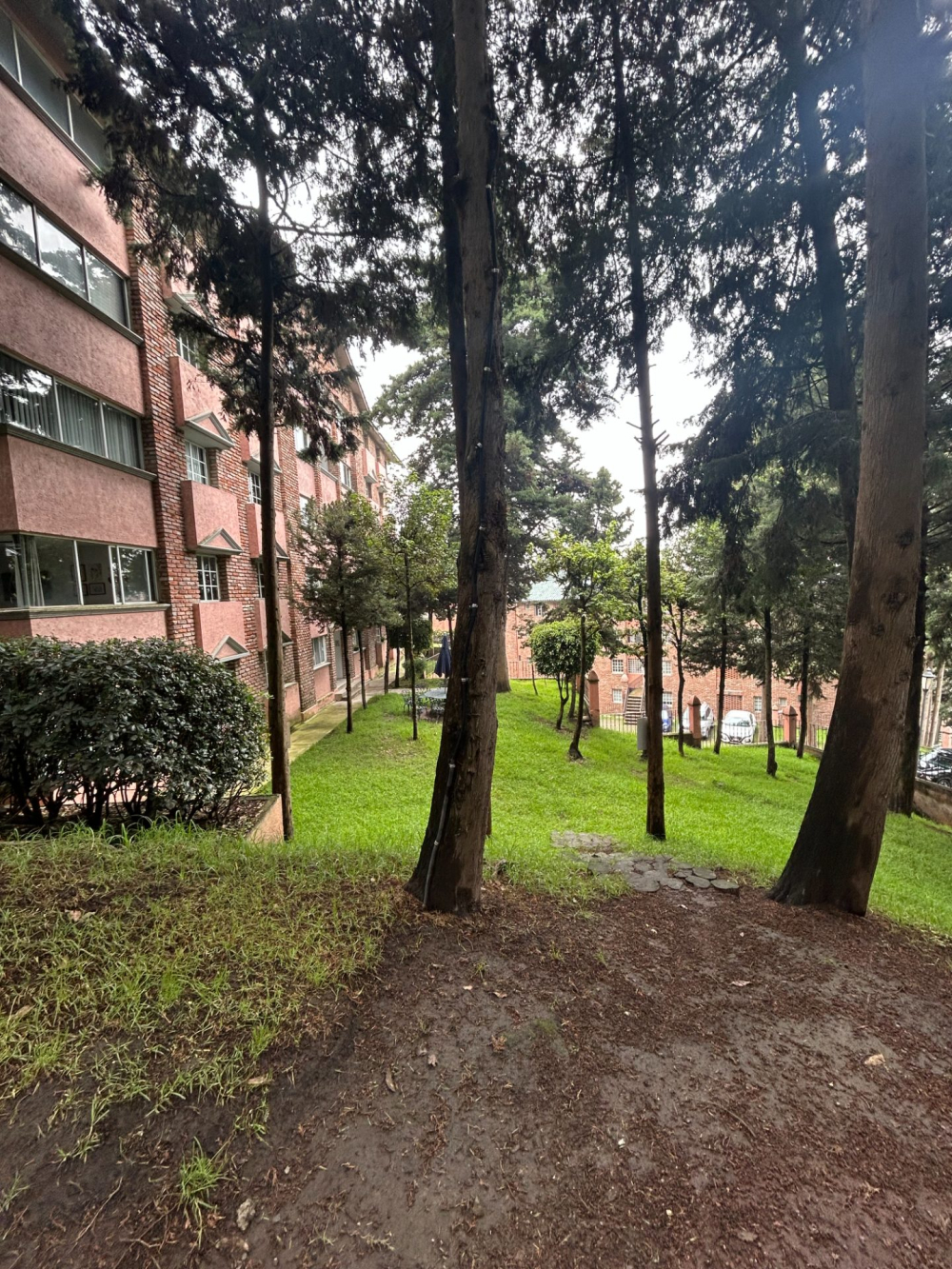 departamento en renta en olivar de los padres
