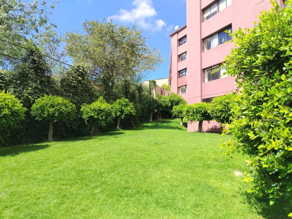 Departamento En Venta En Jesús Del Monte