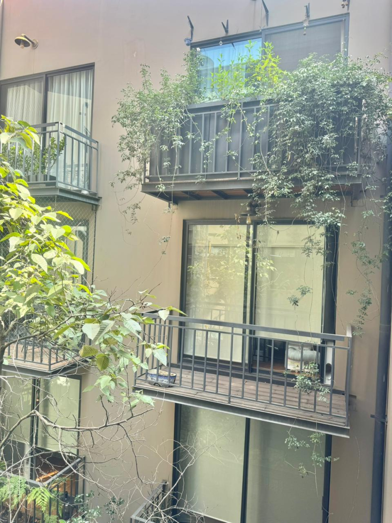 departamento en renta en polanco lujo y armonía en cada detalle