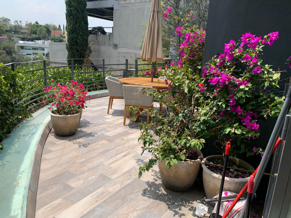 Departamento En Renta En Lomas De Reforma