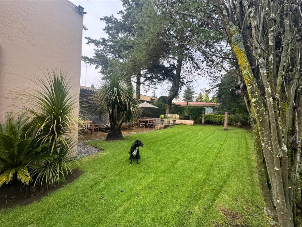 Casa En Venta En Club De Golf Los Encinos
