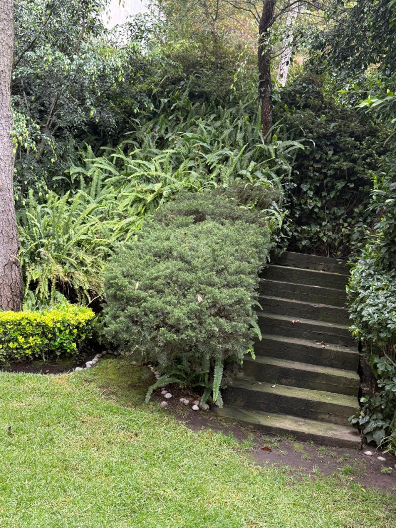 departamento en venta en bosques de las lomas