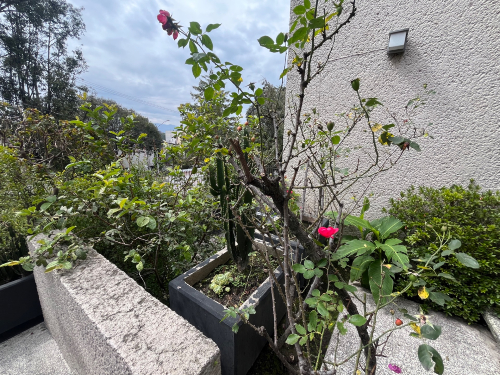 Casa En Venta En Lomas De Tecamachalco Bosques I Y II
