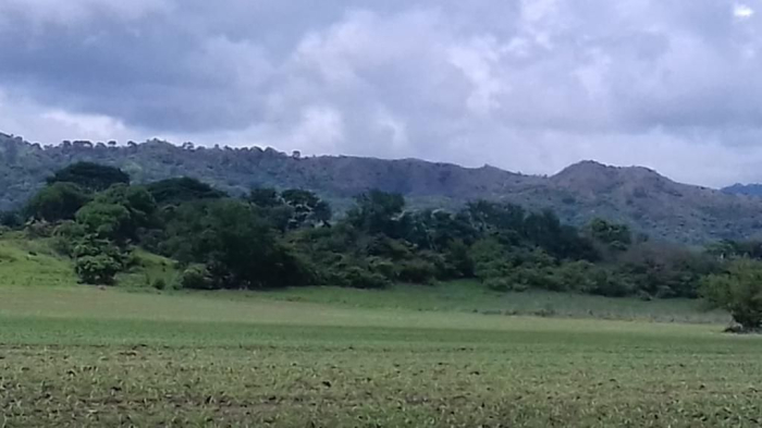 terreno en venta en chiapas